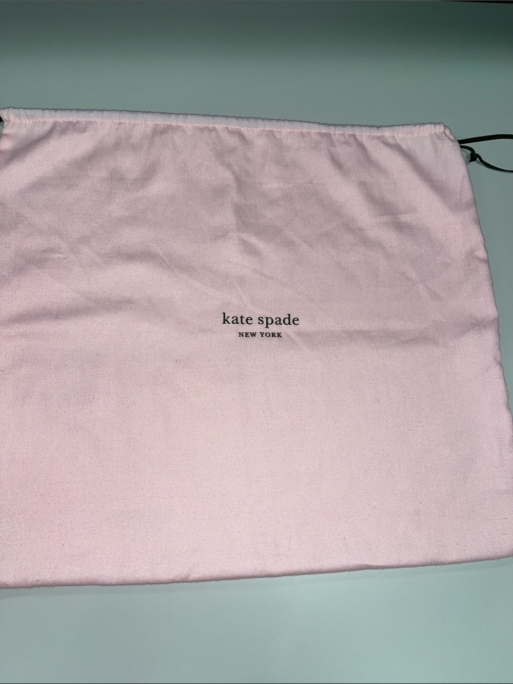 kate spade Large Light Pink Drawstring Dust Bag